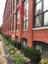 685 Lawrence St - Photo 1 of 1