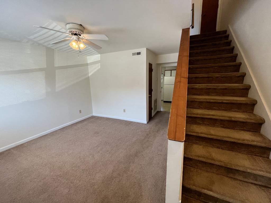 3320 Bridges Street Apt 4 - Photo 3 of 8