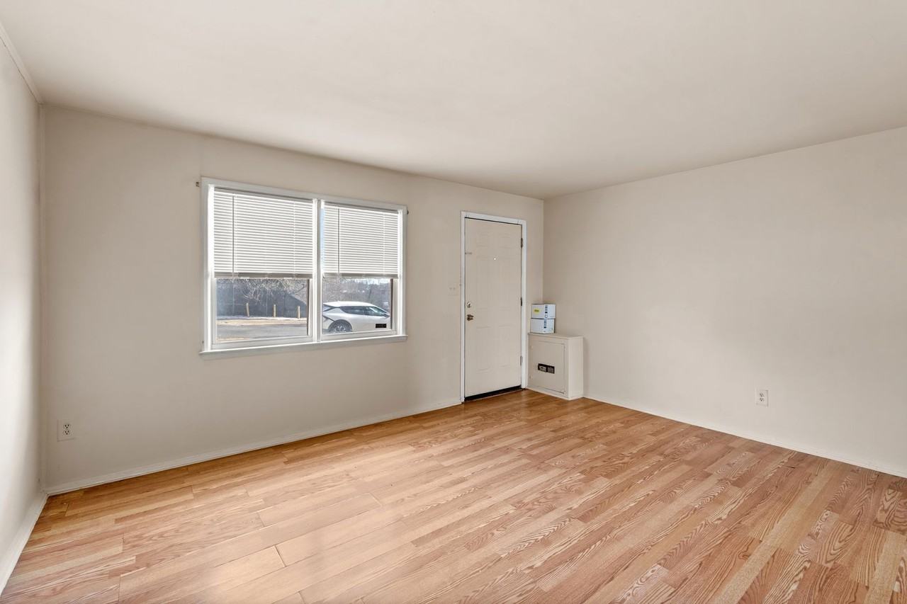 Ashburton - Photo 6 of 50