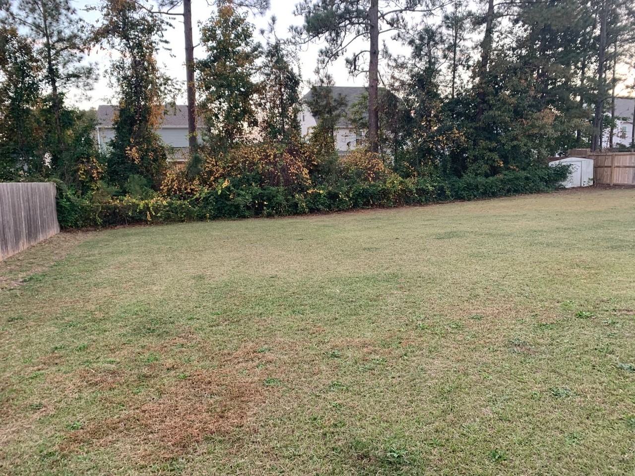 1549 Clan Campbell Dr - Photo 4 of 24