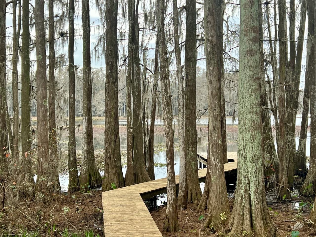 1307 Munson Blvd #1 - Photo 3 of 19