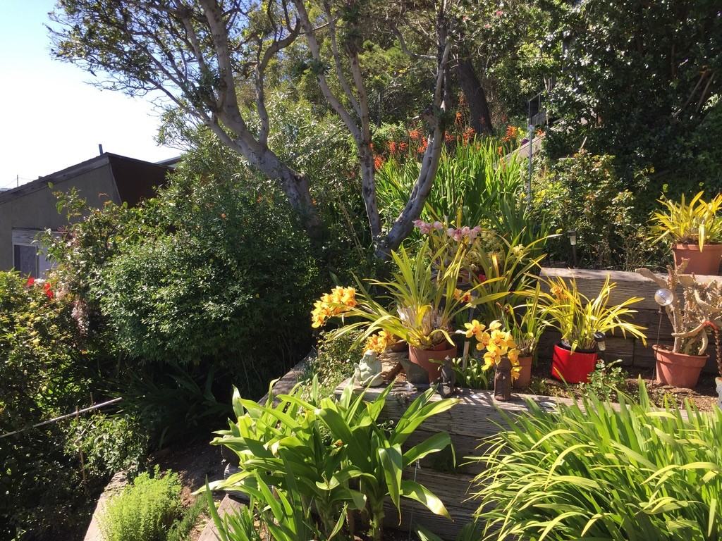 869 Ocean Ave #NA - Photo 2 of 18