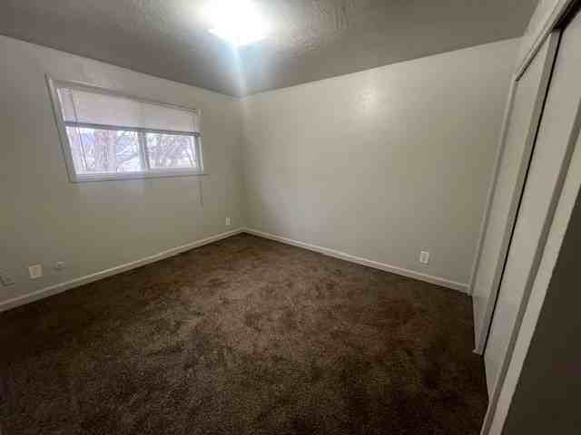 5901 N Pierce Park Ln - Photo 5 of 11