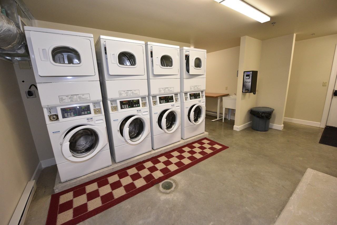 116 Osmun Pl #3 - Photo 5 of 5