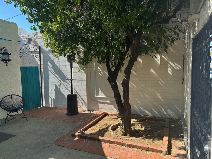 927 N Swan Rd - Photo 2 of 15