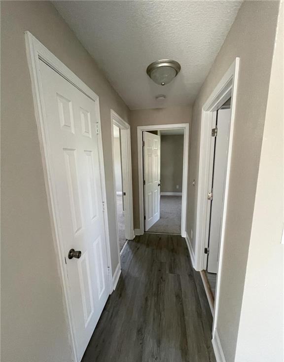 984 Wolcott Ave #1 - Photo 4 of 19