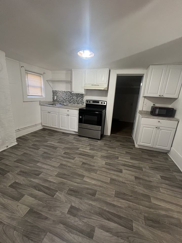 529 E William St #1 - Photo 3 of 9