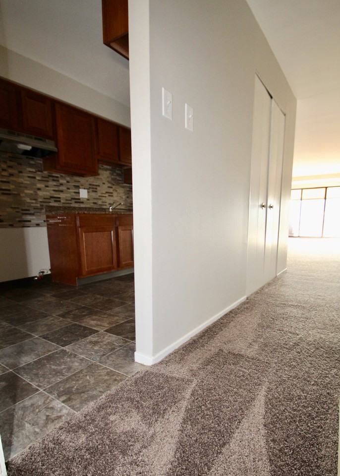 235 WEST CHESTNUT STREETAPT 417 #417 - Photo 2 of 10