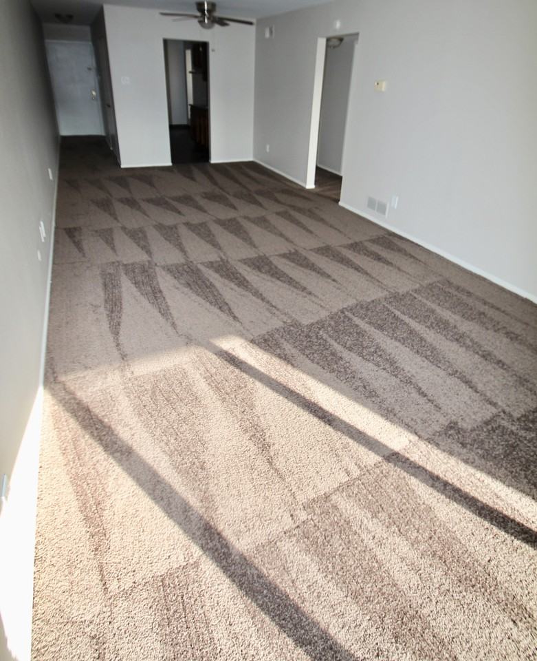 235 WEST CHESTNUT STREETAPT 417 #417 - Photo 4 of 10