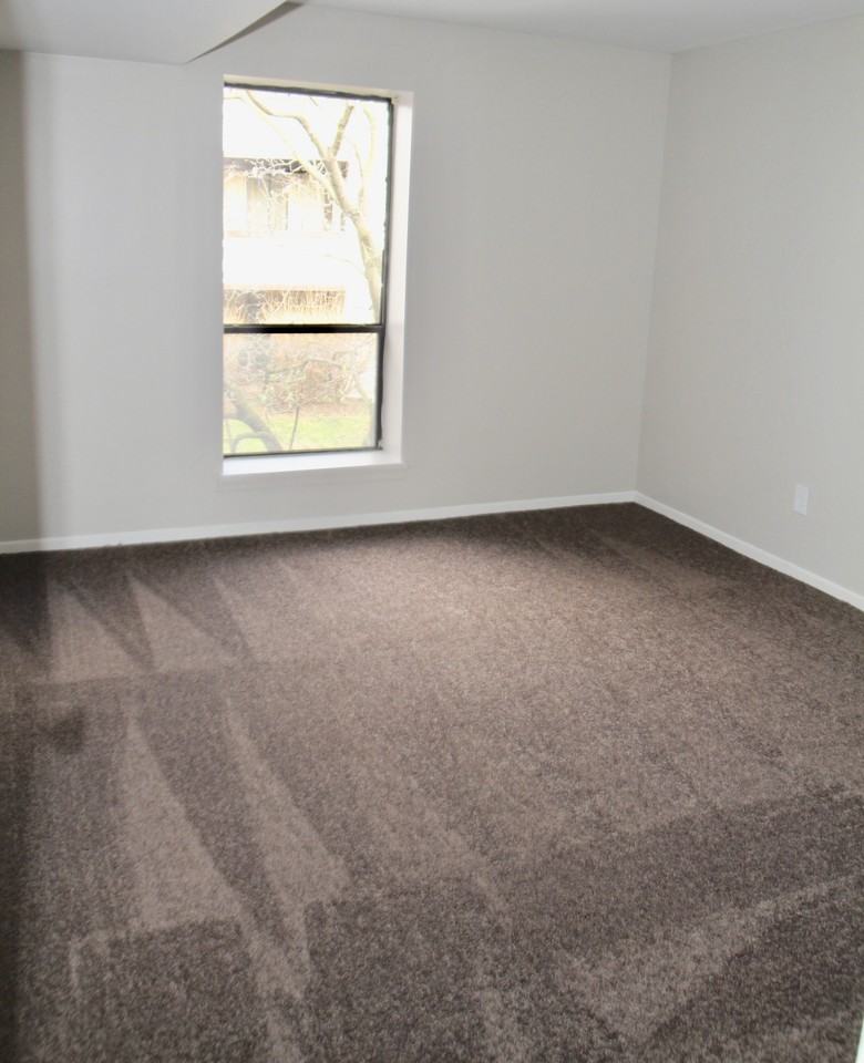 235 WEST CHESTNUT STREETAPT 417 #417 - Photo 6 of 10