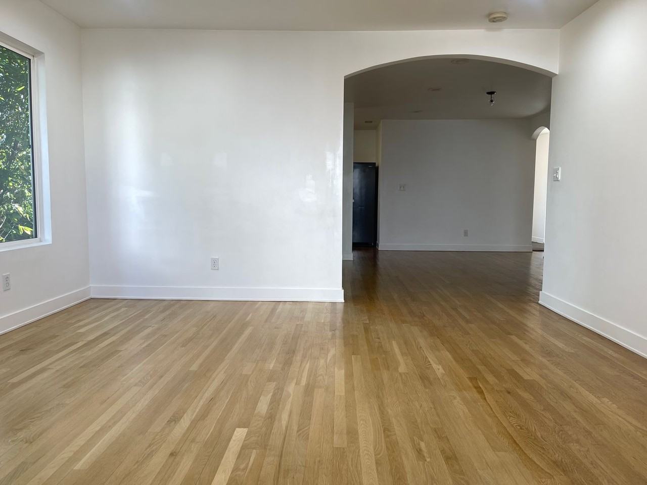 NASSAU - Photo 4 of 26