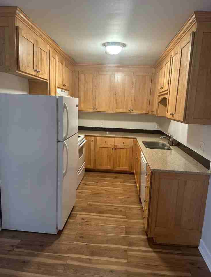 246 246 White Bridge Pike - 246 A10 - Photo 4 of 15