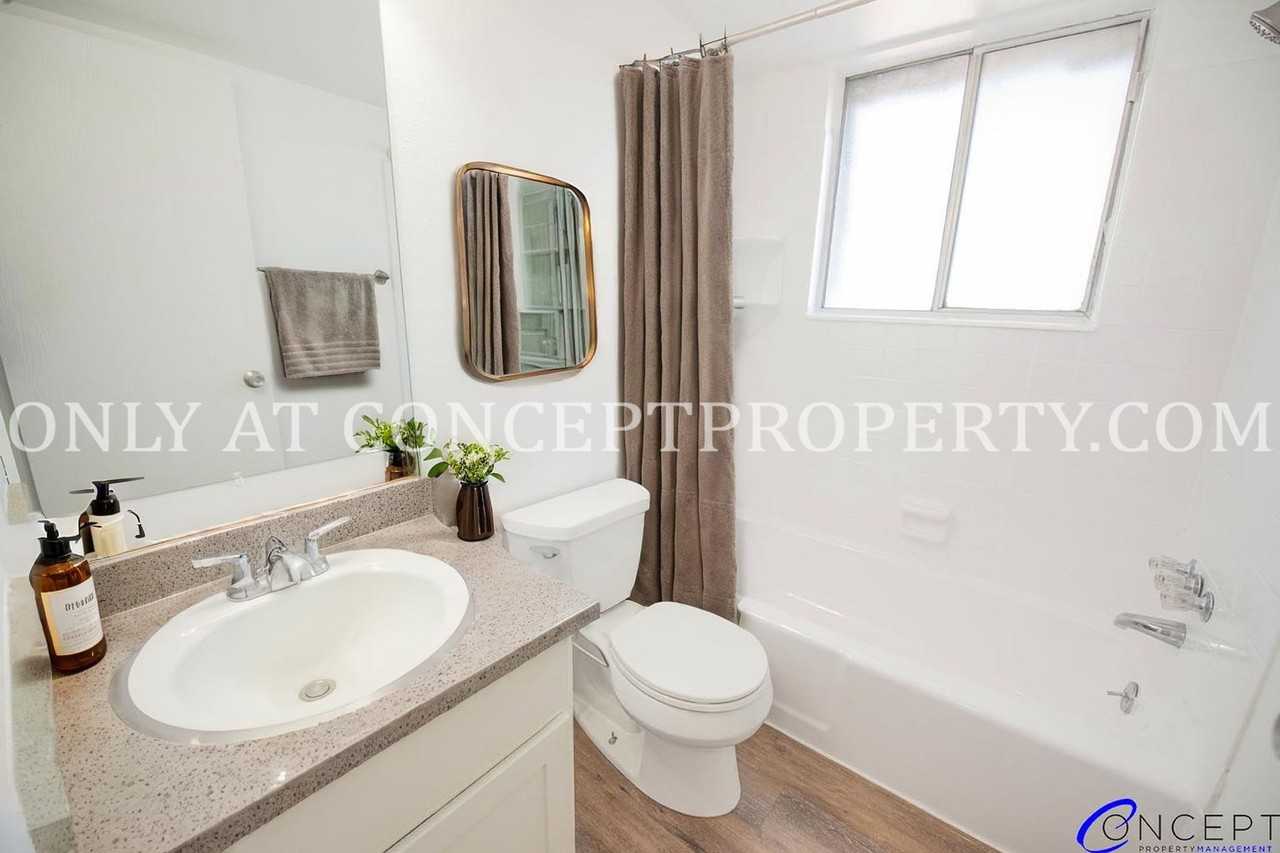 Woodwinds - Photo 7 of 50