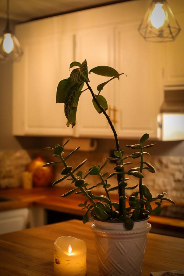 Newtown Tpke #NA - Photo 5 of 32