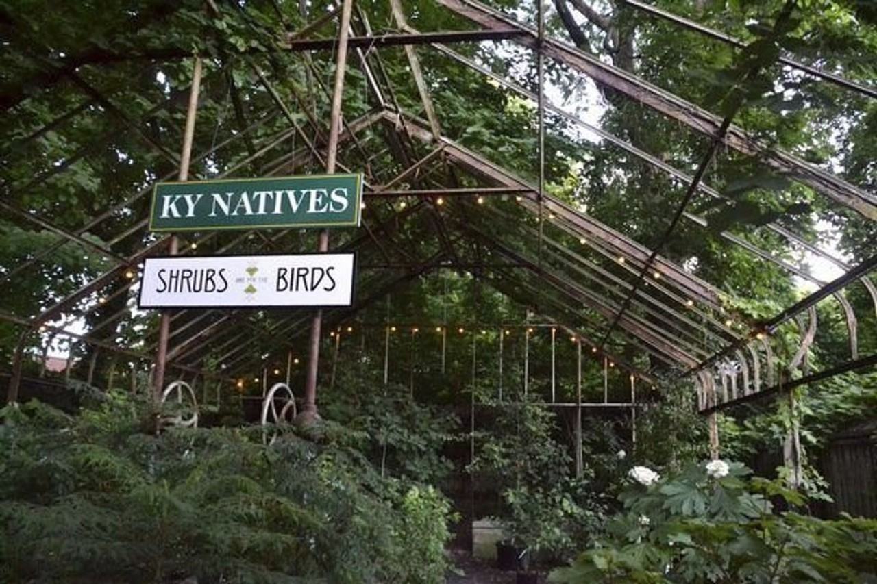 Arms - Photo 7 of 10