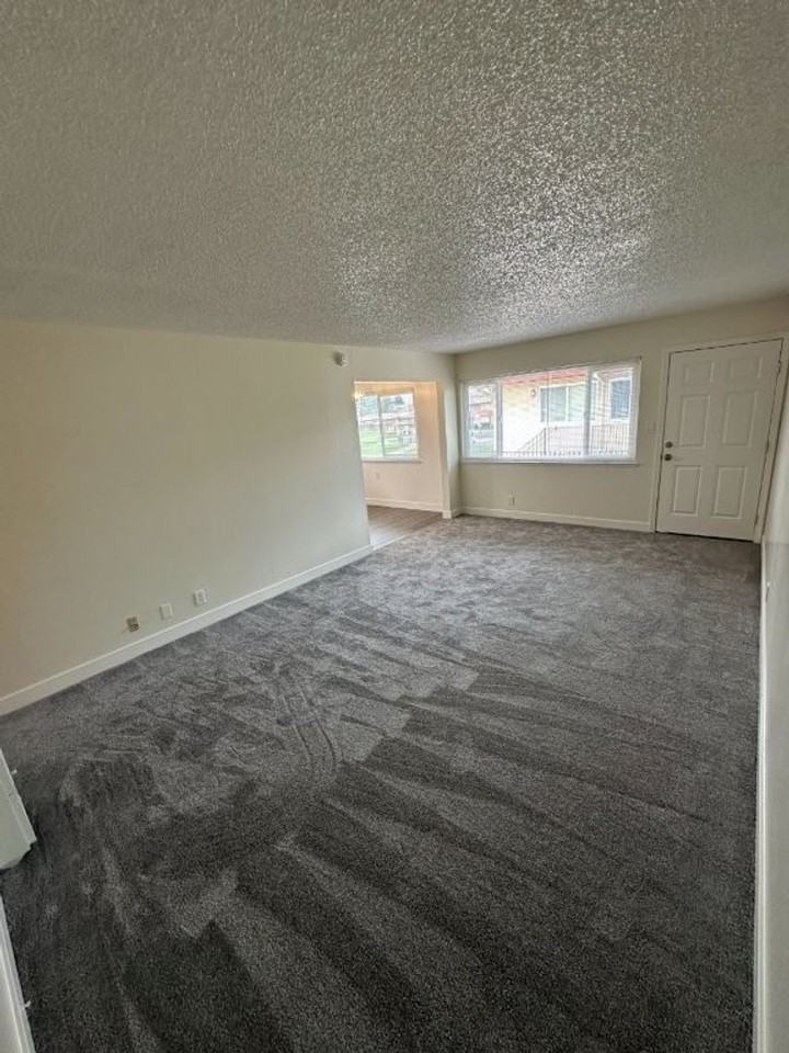 Soto 24457/APTS - Photo 4 of 31