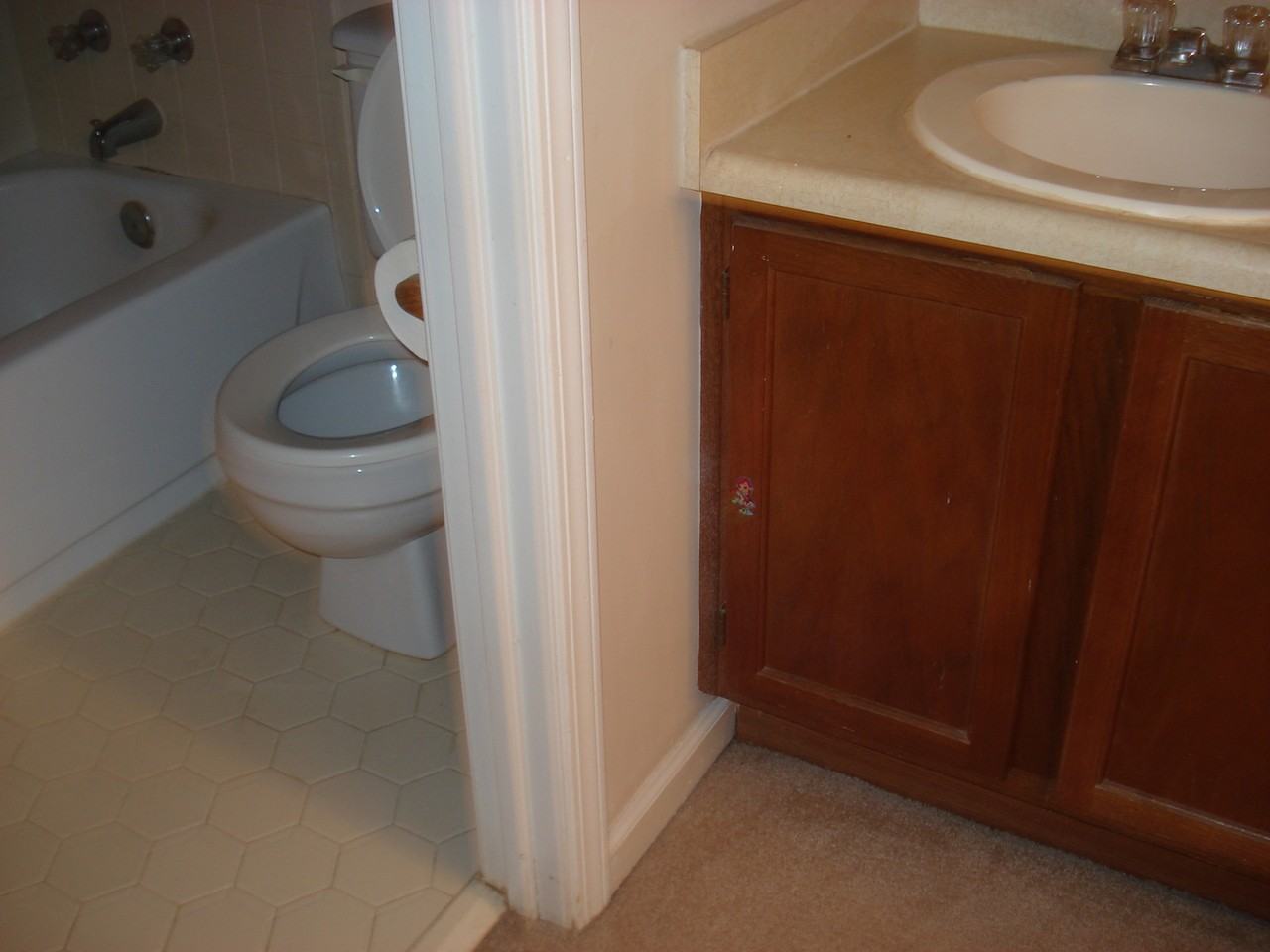 101 Autumn Leaf - Photo 6 of 8