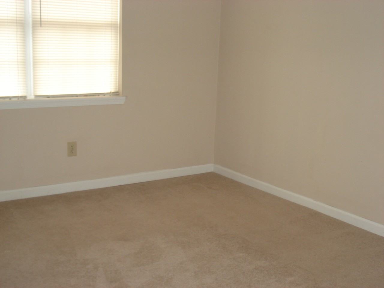 101 Autumn Leaf - Photo 7 of 8