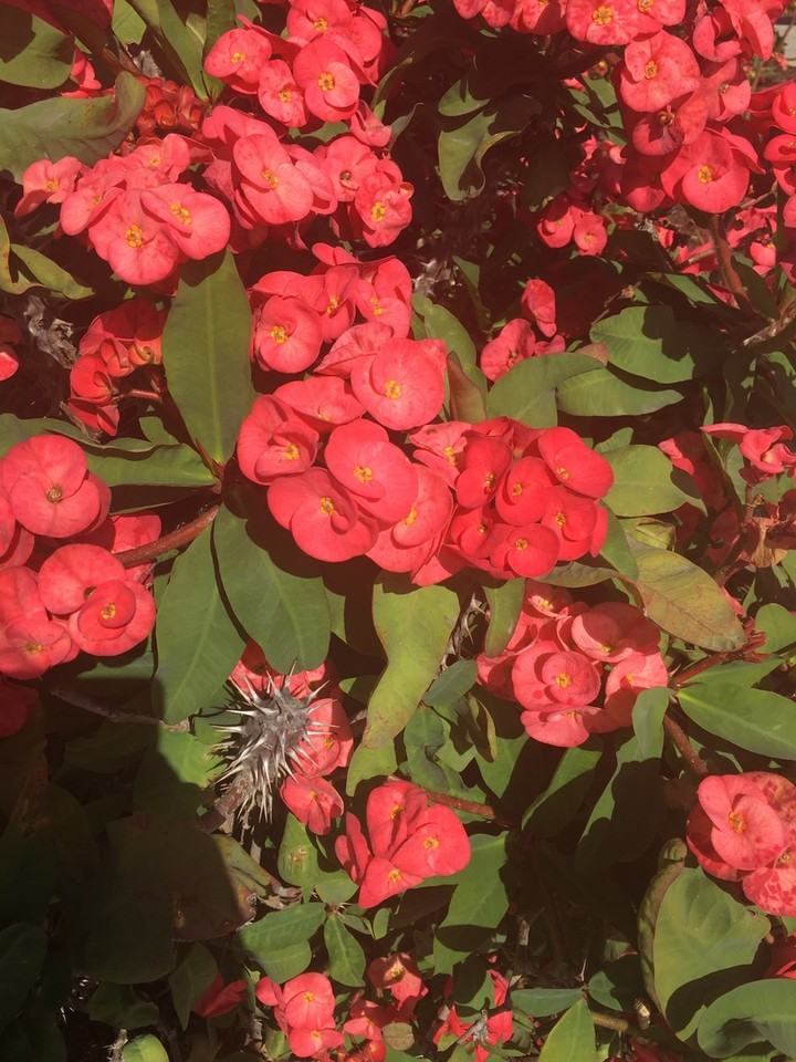 901 Brandywine Ln - Photo 7 of 30