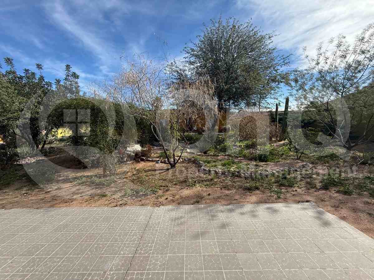 720 N Palo Verde Blvd - Photo 4 of 15