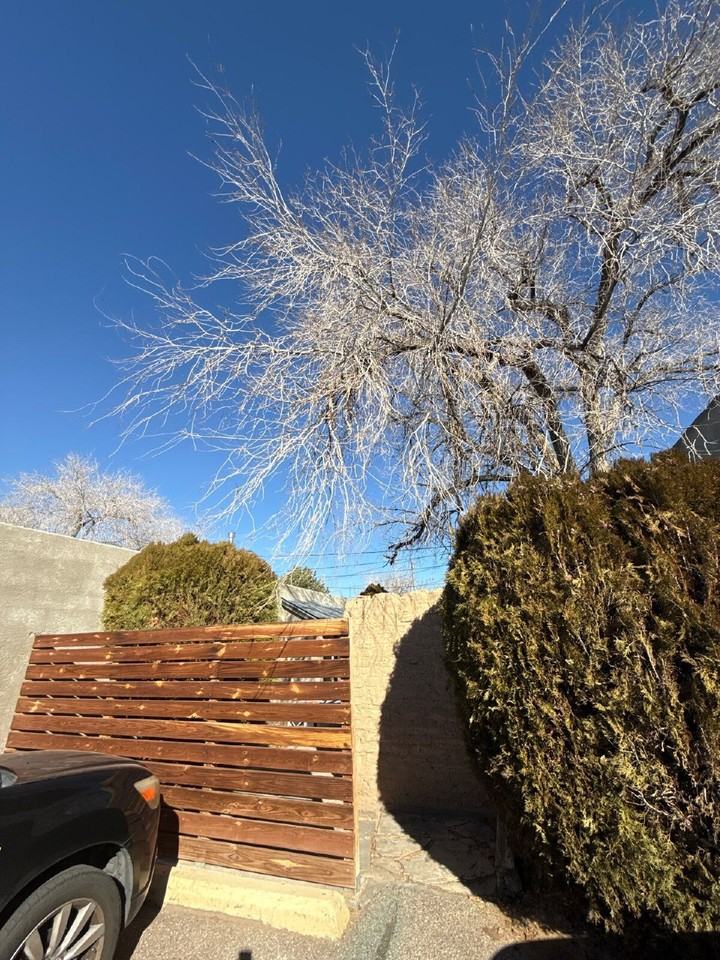 3209 Burton Ave Se - Photo 3 of 11