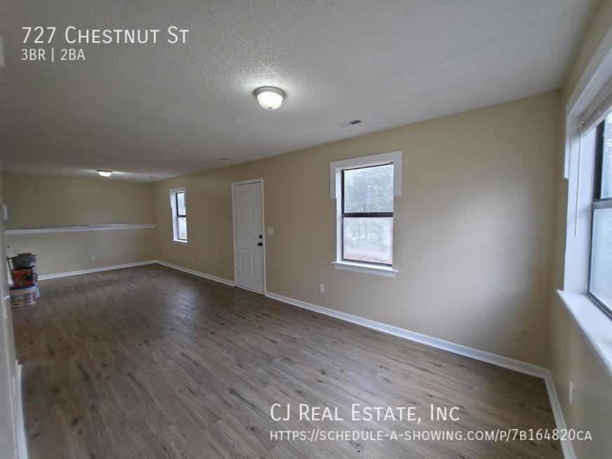 727 Chestnut St - Photo 2 of 11