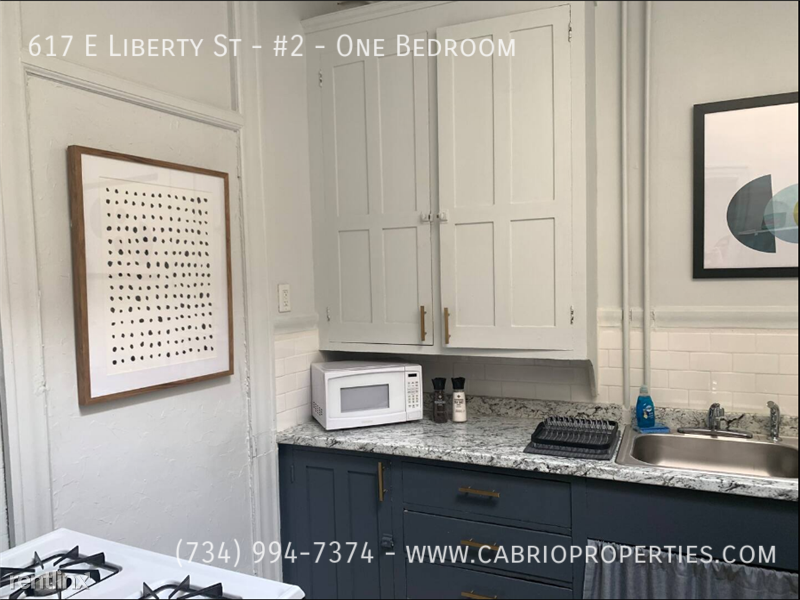 617 E. Liberty St. - Photo 5 of 20