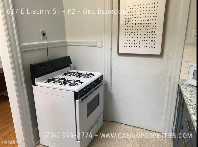 617 E. Liberty St. - Photo 6 of 20