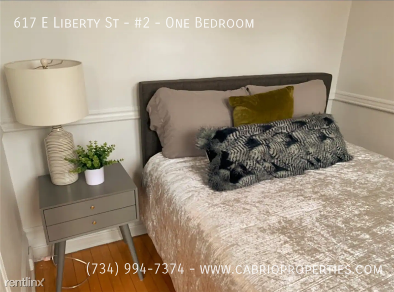 617 E. Liberty St. - Photo 7 of 20