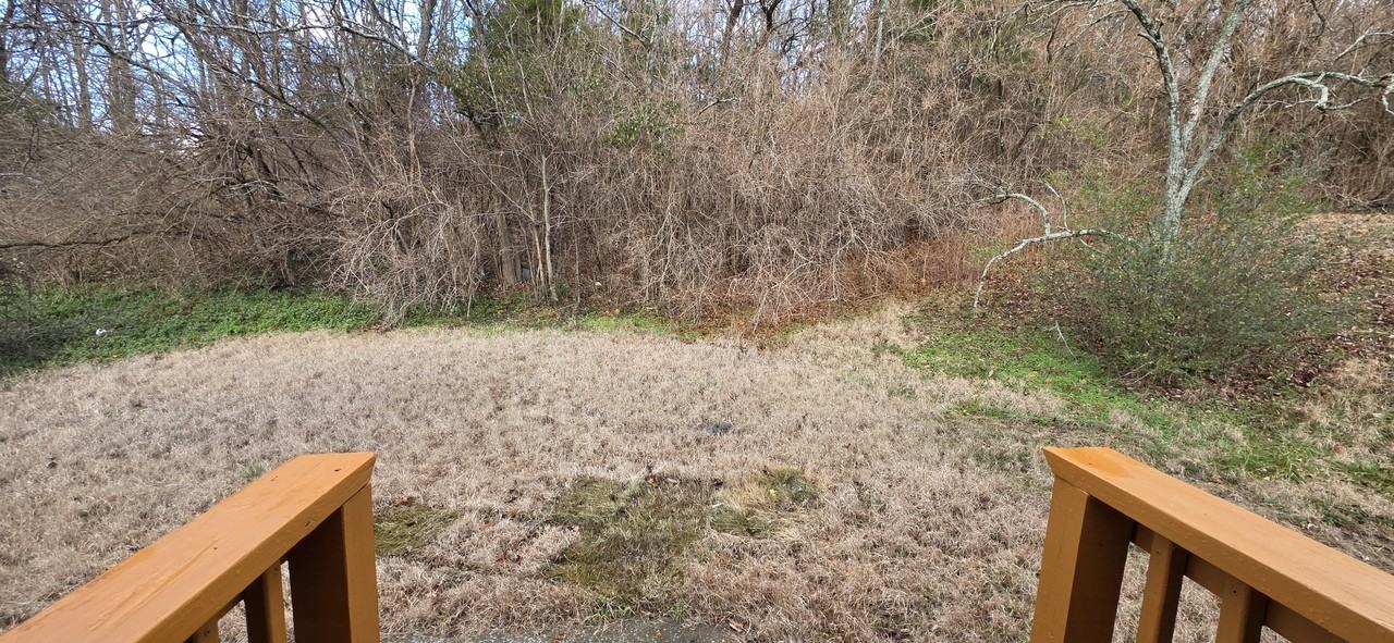 2323 Ilolo St #1 - Photo 3 of 33