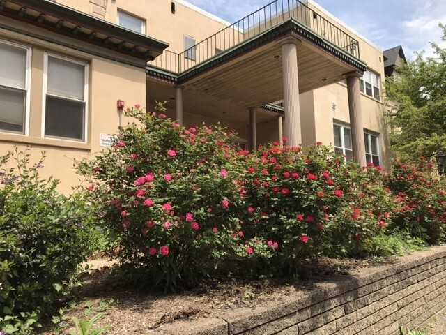 Baum 5515 - Photo 2 of 10