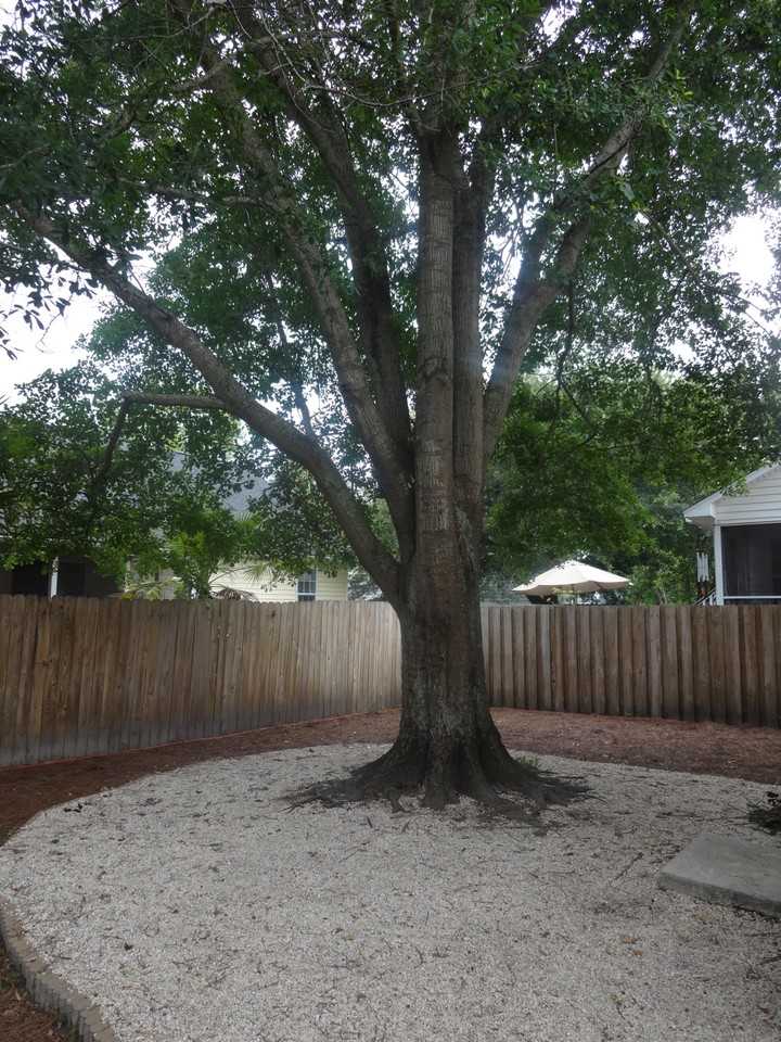 388 Culver Ave #NA - Photo 4 of 8