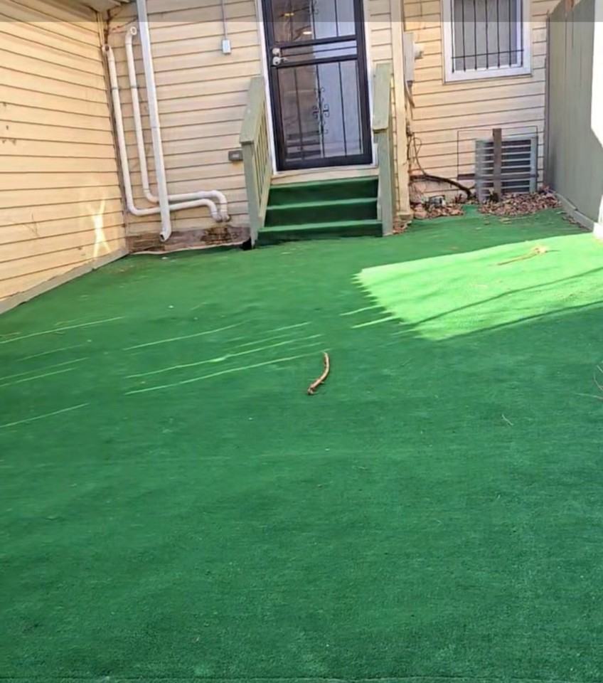 827 N Caroline St #1 - Photo 6 of 6