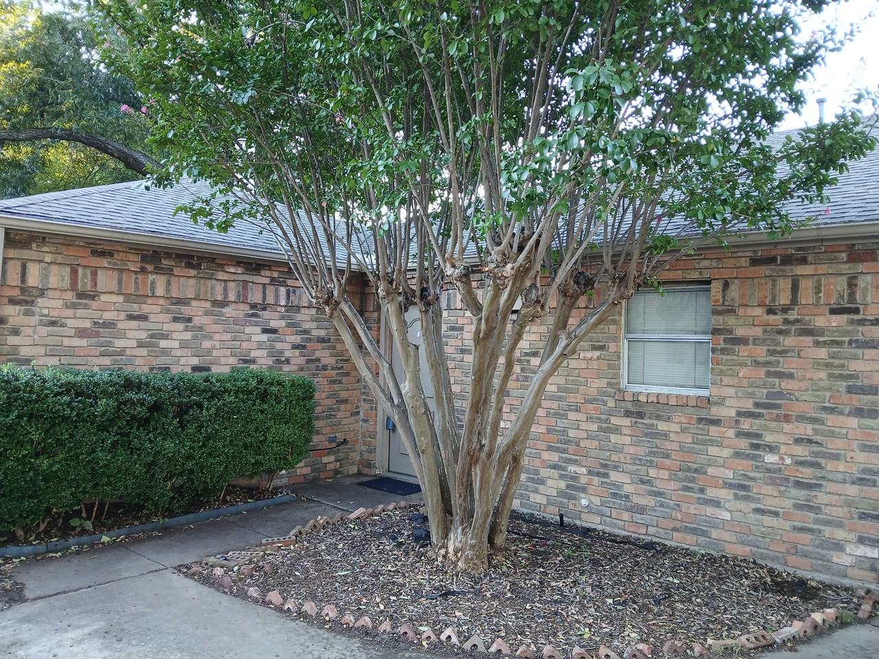 3202 Foxboro Dr #3202 - Photo 3 of 13