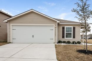 11703 Viney Pass - Photo 1 of 1