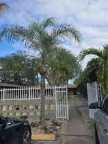 12605 Ne 13th Ave #5 - Photo 1 of 1