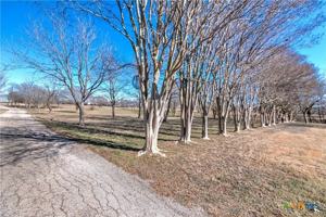 featured image of 1667 Primrose Trl