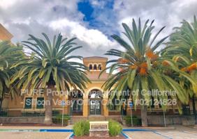 featured image of 1310 Saddle Rack St #444