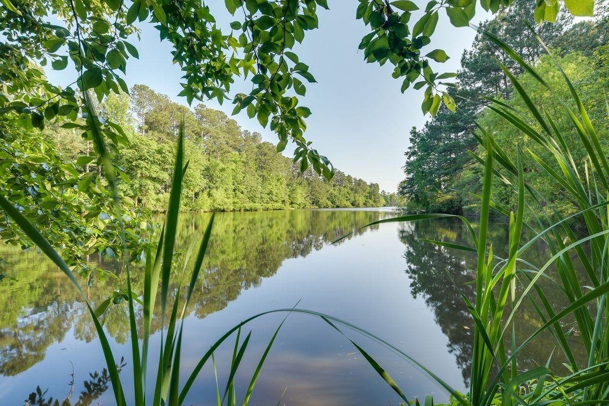 5518 Tahoe Dr - Photo 6 of 48