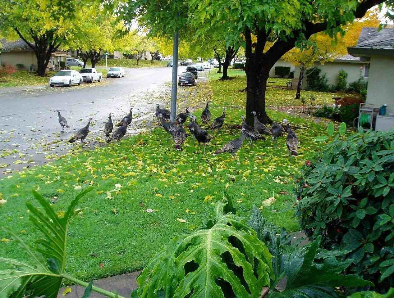 240 Breuner Dr #2 - Photo 6 of 22