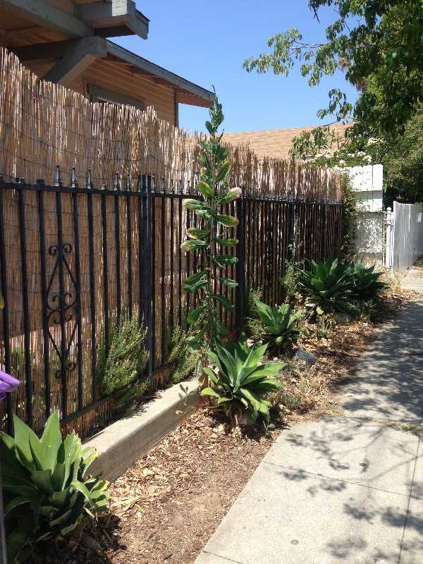 1804 Bellevue Ave - Photo 2 of 24