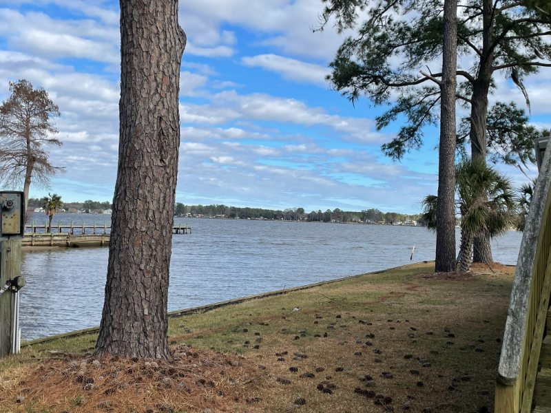 113 Portside Dr - Photo 4 of 5