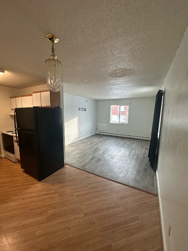 1508 Highwaye #201 - Photo 4 of 9