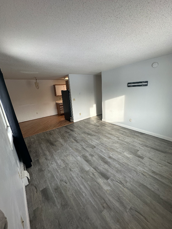 1508 Highwaye #201 - Photo 5 of 9