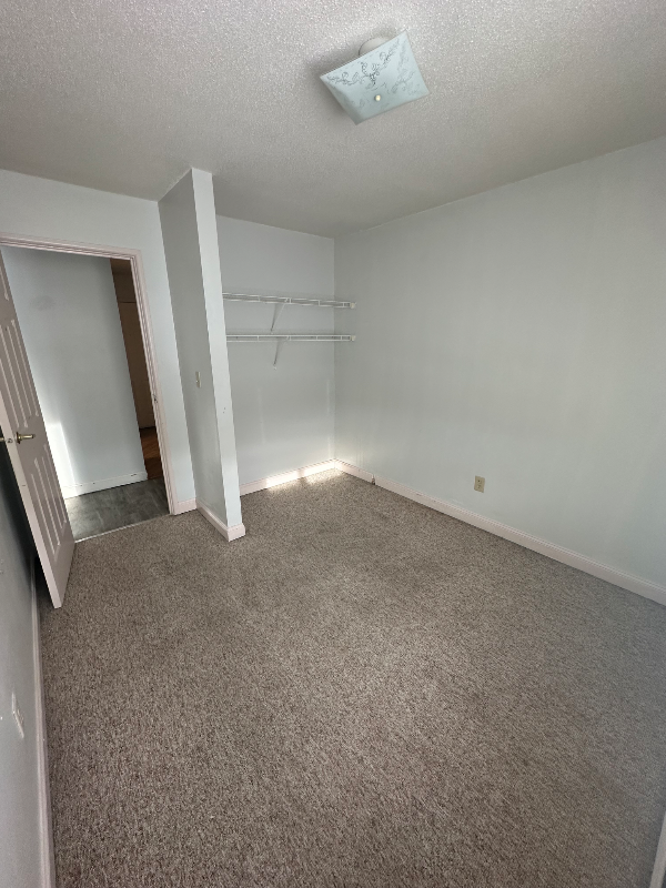 1508 Highwaye #201 - Photo 7 of 9