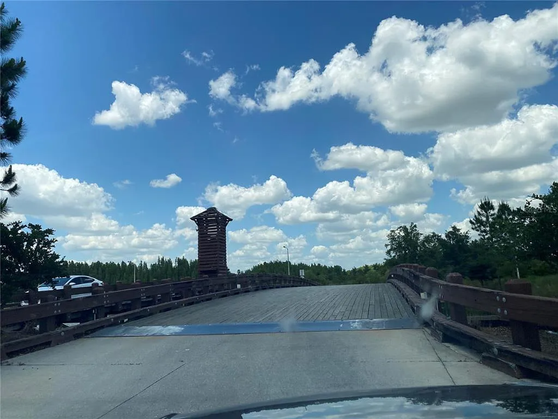 32704 Canyonlands Dr - Photo 7 of 14