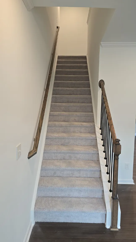 808 Basswood Glen Trl - Photo 2 of 22