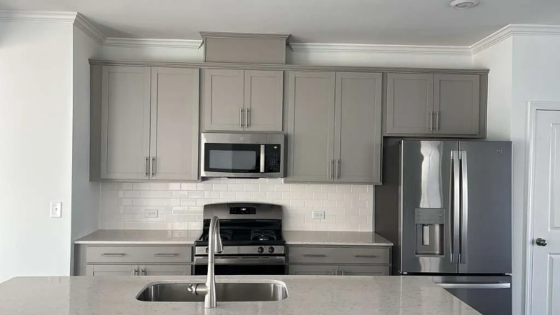 808 Basswood Glen Trl - Photo 3 of 22