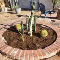 featured image of 1548 E 9th St #1