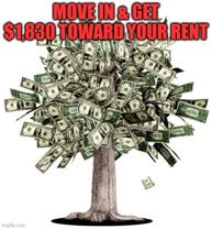 9818 Kenwood Drive Southwest #11 - Photo 1 of 1